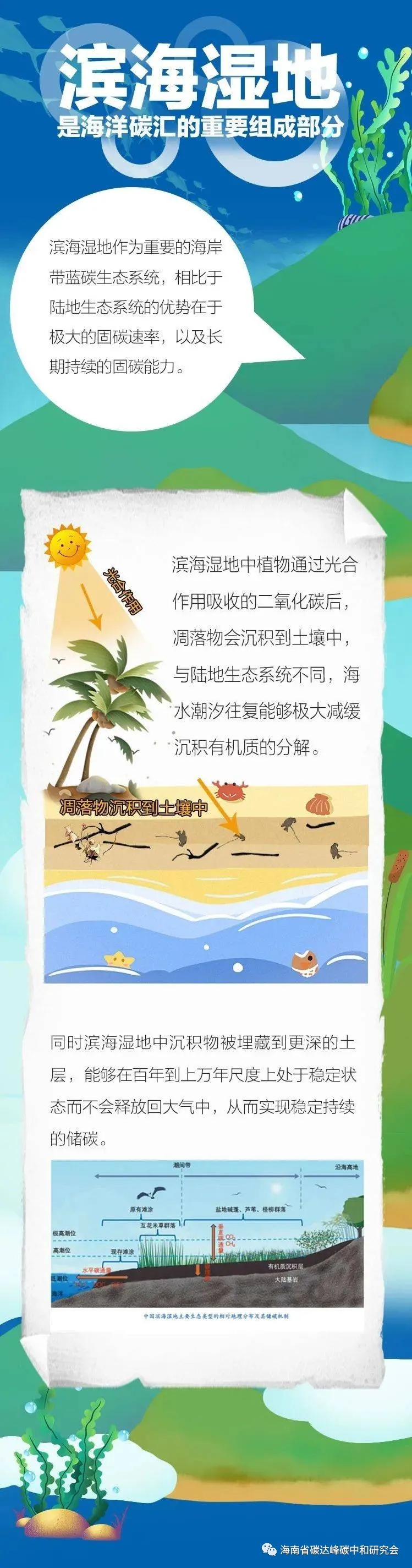 555.jpg 图片