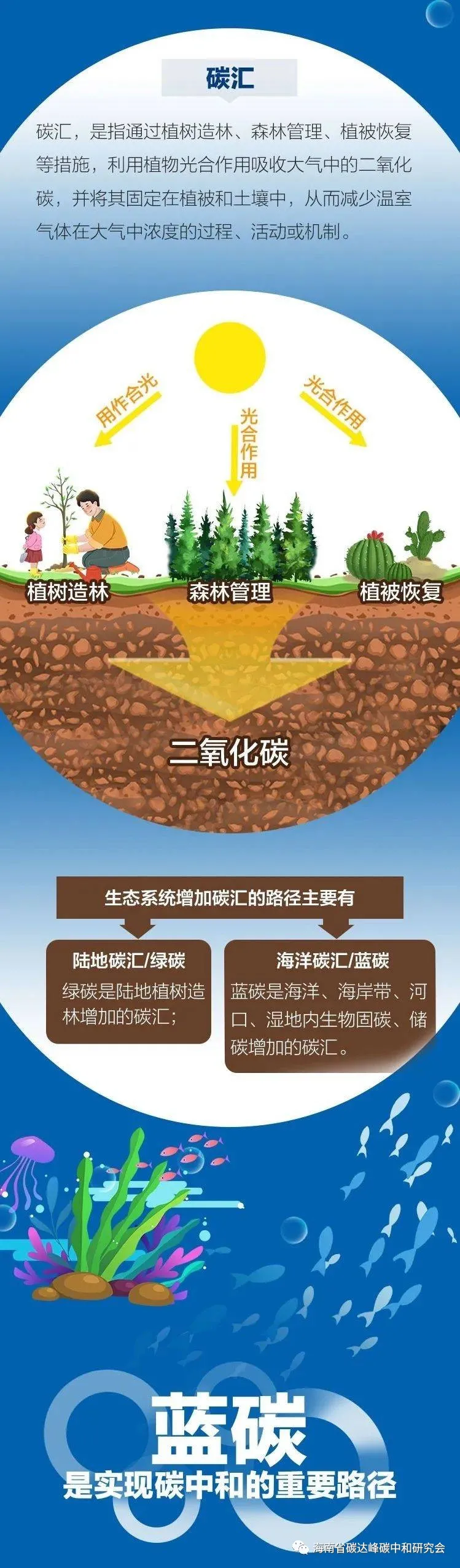 333.jpg 图片