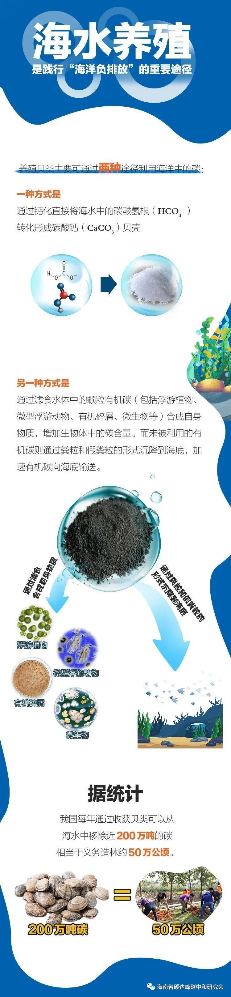 666.jpg 图片