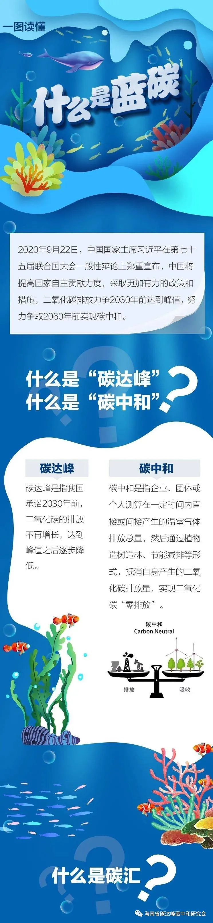 111.jpg 图片