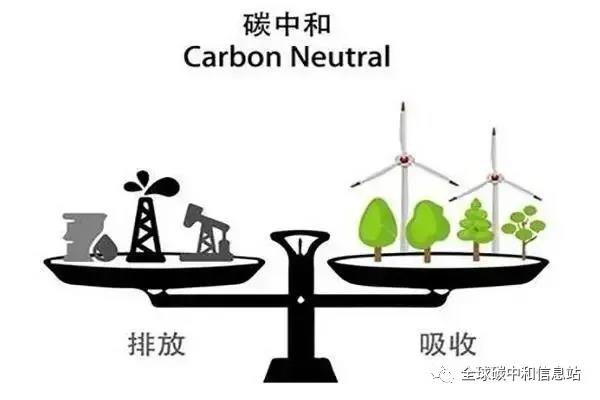 碳中和.jpg
